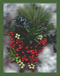 winter berries